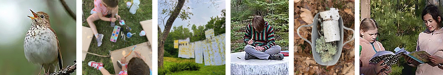 Moments from Art and Ecology Camp at the Desert of Maine